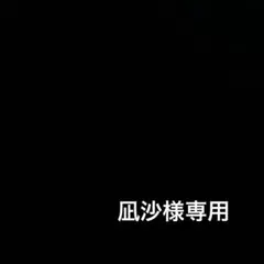 凪沙様　専用