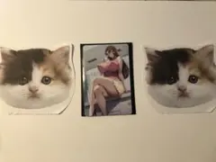 セクシーカード