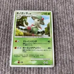 ポケモンカード キノガッサLv.40 ドレインパンチ DP3 エクストラ