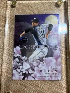 2024 Bowman Chrome 大谷翔平 250枚限定 紫リフレクター - メルカリ