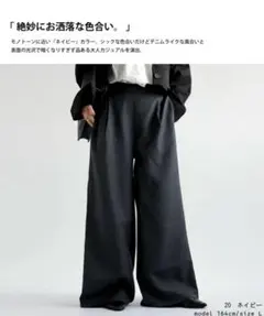 antiqua アンティカ　デニムライクワイドパンツ