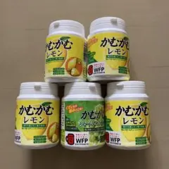 かむかむレモン かむかむシャインマスカット ボトル 5個セット