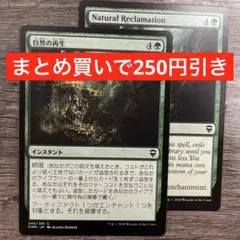 【まとめ買いで250円引き】自然の再生/Natural Reclamation