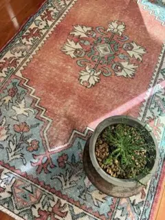 2026年最新】トルコ ラグ ヴィンテージの人気アイテム - メルカリ