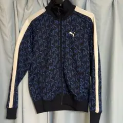 Item thumbnail for item a916e533-5760-4418-a1a8-add7b7dc4df2