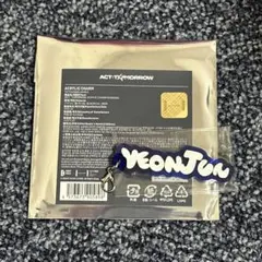 新品 未使用 TXT アクリルチャーム ヨンジュン