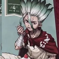 dr.stone 石神千空 千空 バースデーポストカード&イラストカード 30枚