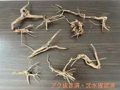 不規則形状 流木10点セット⑦ 【自然沈水確認済み】 - メルカリ