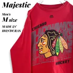 古着 シカゴブラックホークス NHL ビッグプリント ロンT