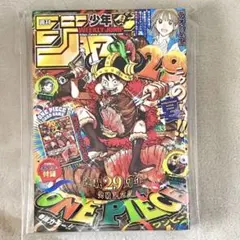 週刊少年ジャンプ 2024年33号 ONE PIECE付録カード付 ワンピース