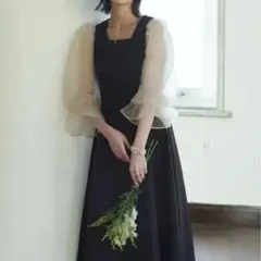 RUIRUE オーガンジースリーブ フレアワンピースドレス