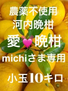 農薬不使用河内晩柑！「愛♡晩柑」木成りみかん小玉10キロ！愛南町農園直送！のサムネイル