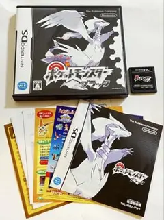 ポケモン ブラック DS ソフト ケース付 動作確認済