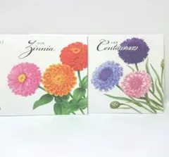 2026年最新】矢車草の人気アイテム - メルカリ