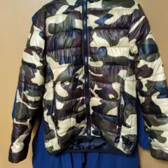 Item thumbnail for item 96efa63a-fdbc-437a-853a-289aa8854861