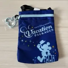 最終値下げ☆東京ディズニーリゾート バケーションパッケージショルダーバッグ
