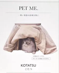 Item thumbnail for item b6d47b80-9c5d-4c4d-9845-7f59ddd1ae84