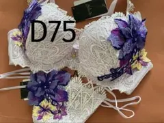 サルート【ラプンツェル】D70&ソングM PU 22 プレステージ - メルカリ