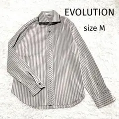 【極美品】エボリューション　ストライプ 長袖シャツオフィスカジュアルsize M