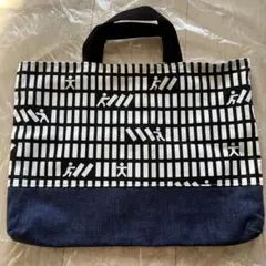 ユニークなストライプデザインのバッグ　レッスンバック