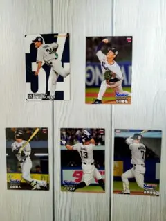 プロ野球チップスカード2024第1弾 東京ヤクルトスワローズ