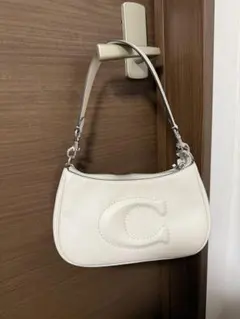 COACH テリ 2way ショルダーバッグ