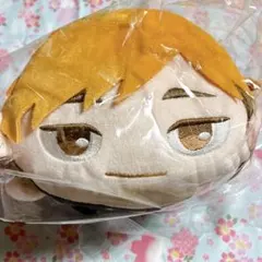 ハイキュー ぽてコロマスコット Mサイズ 宮治 - メルカリ