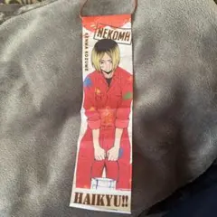 ハイキュー!! ペイントスーツガーランドコレクション　「孤爪研磨」