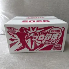 大人買いプロ野球チップス 2026 第1弾 6袋入 1箱のサムネイル