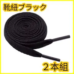 靴紐 黒 120㎝ 1足分 平紐 NIKE adidas コンバース 替え紐