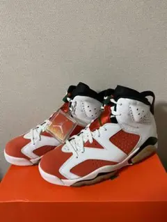 ナイキ エアジョーダン6 レトロ ゲータレード ライク マイク ホワイト