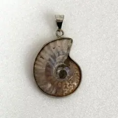 Item thumbnail for item 987db6be-02b6-45f9-babc-9f091ee90942