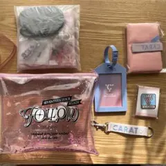 SEVENTEEN TOUR FOLLOW AGAIN グッズ