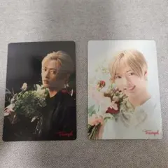 【非売品】IMP. 佐藤新 Triumph トリンプ メッセージカード 2枚組