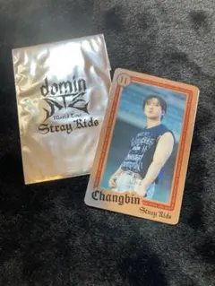 Stray Kids ランダム ライブ フォトカード チャンビン