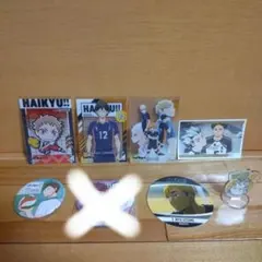 (N) ハイキュー!! 缶バッジ カード シール アクスタ