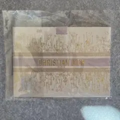 CHRISTIAN DIOR ノベルティ 紙袋 新品