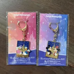 ディズニーキーホルダー　非売品　セット売り