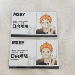 ハイキュー‼︎ ファンパーク FUNPARK 名刺カード 日向翔陽