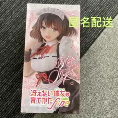 2026年最新】冴えない彼女の育てかた Memorial ねんどろいど加藤恵