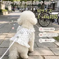 犬用ハーネス 犬服 ハーネスリードセット 小型犬 お散歩 ペット用品 Mのサムネイル
