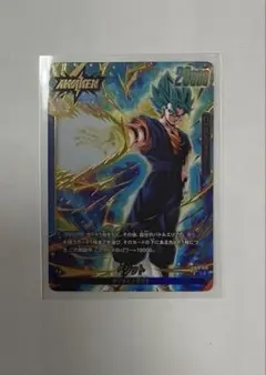 ベジット　リーダー　パラレルのサムネイル