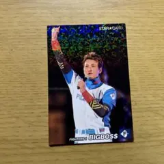 BIGBOSS 新庄 プロ野球チップスカード スターカード - メルカリ