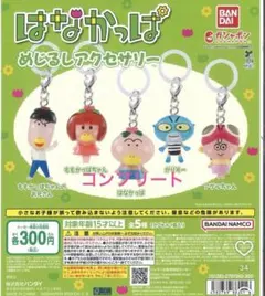つ*】様 はなかっぱ　めじるし　アクセサリー　コンプ
