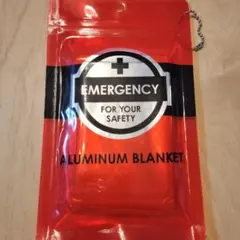 Item thumbnail for item e217299c-08f1-48fe-a5e1-177ab18a70ab