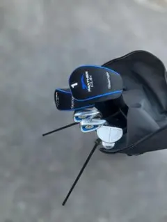 Item thumbnail for item ef0b6f0f-436c-445b-b058-5b53183926dc