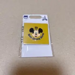 ウォルトディズニーワールド　ピンバッジ
