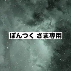ぽんつく様専用