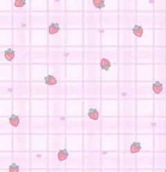 りゅ様専用ページ