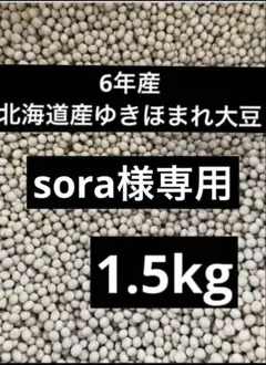 sora様専用